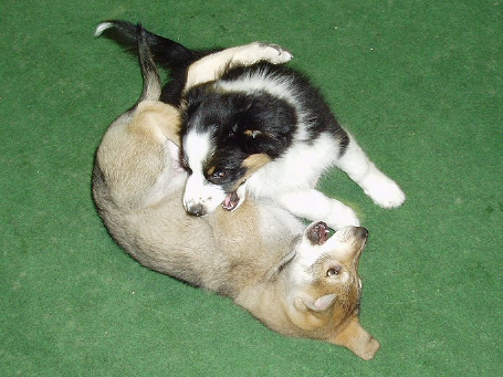 image_ausbildung_7.png
