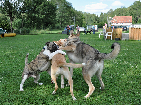 image_ausbildung_8.png