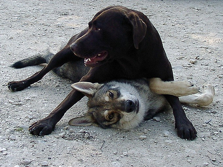 image_ausbildung_9.png
