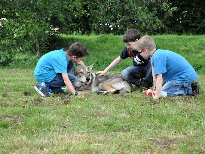 image_2012-05-24_1.png