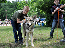 image_2012-05-24_2.png