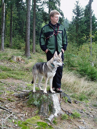 image_ueber_uns_1.png