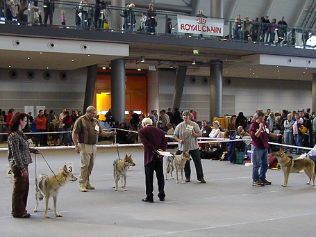 image_ueber_uns_6.png