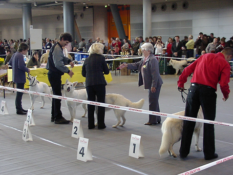 image_ueber_uns_7.png